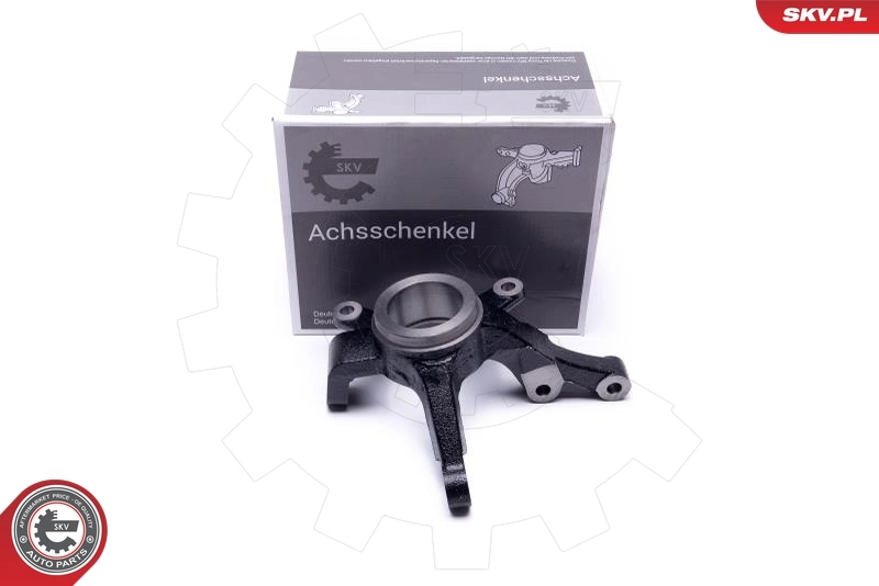 Steering Knuckle, wheel suspension